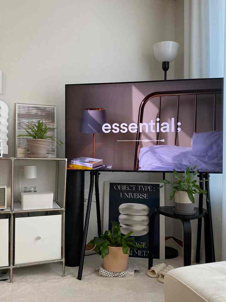 白と黒のトーンのリビング、テレビ台と棚の上の植物が配されたモダンで清潔感のあるインテリア