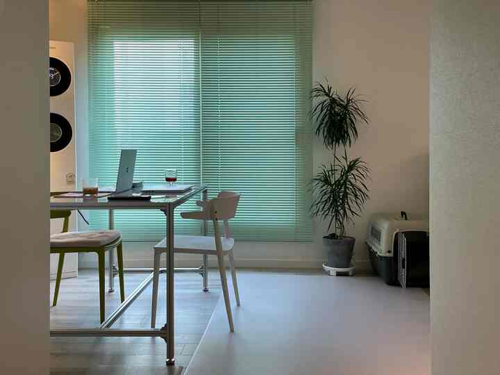 ミントグリーンのブラインドと白い家具が配置されたリビングのホームオフィス空間、ペット用ケージと植物が調和した落ち着いた雰囲気のインテリア