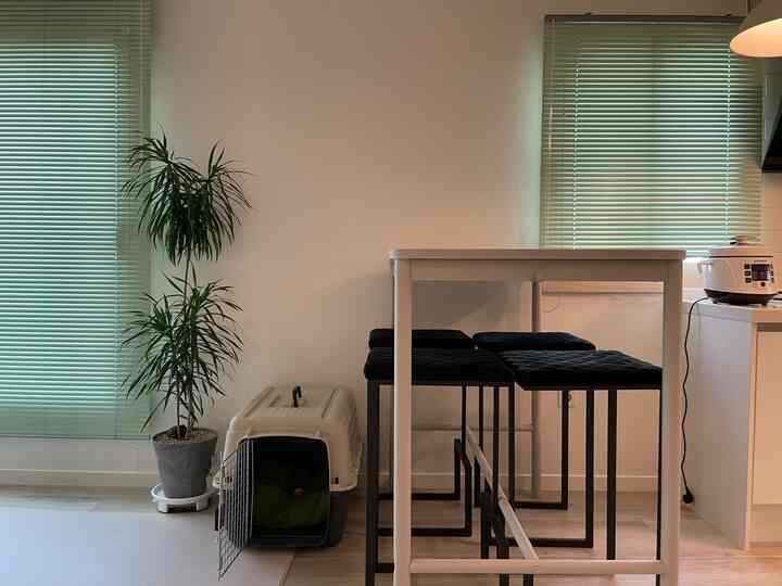 ホワイトトーンのワンルームダイニングスペース、ブラックのカウンタースツールとペット用ケージが配置された清潔感のあるインテリア