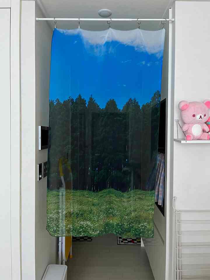 青い空と森、草原のプリントが施されたシフォンカーテンが廊下の入り口に掛けられたアパート内部