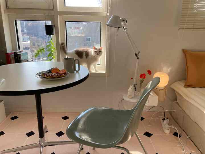 白とベージュの落ち着いた寝室、窓辺に猫がいてシンプルでモダンな家具が配置された雰囲気のあるインテリア