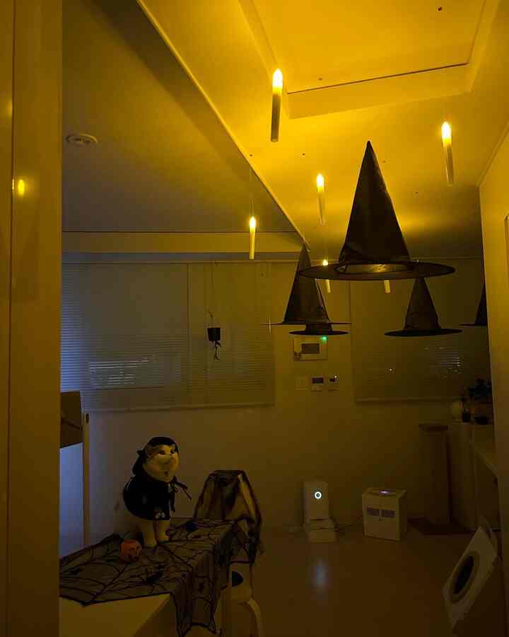 黄色い照明の下、狭い部屋にコスチュームの猫とハロウィン装飾が配置された雰囲気のある空間