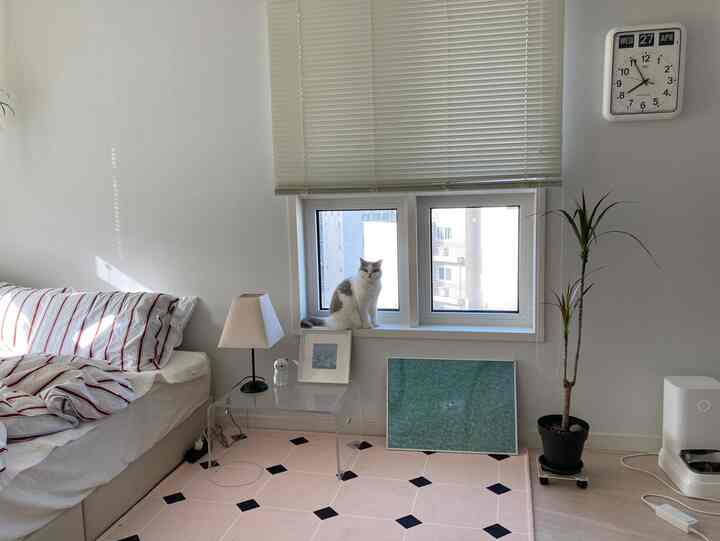 白と黒のトーンのワンルーム寝室、透明なアクリルのナイトスタンドと窓辺にいる猫があるナチュラルモダンなインテリア