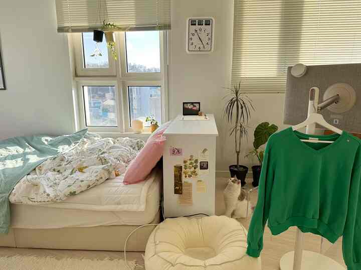 ホワイトとナチュラルカラー調の寝室、ベージュのベッドフレームとグリーンの寝具、猫がいるナチュラルモダンなインテリア