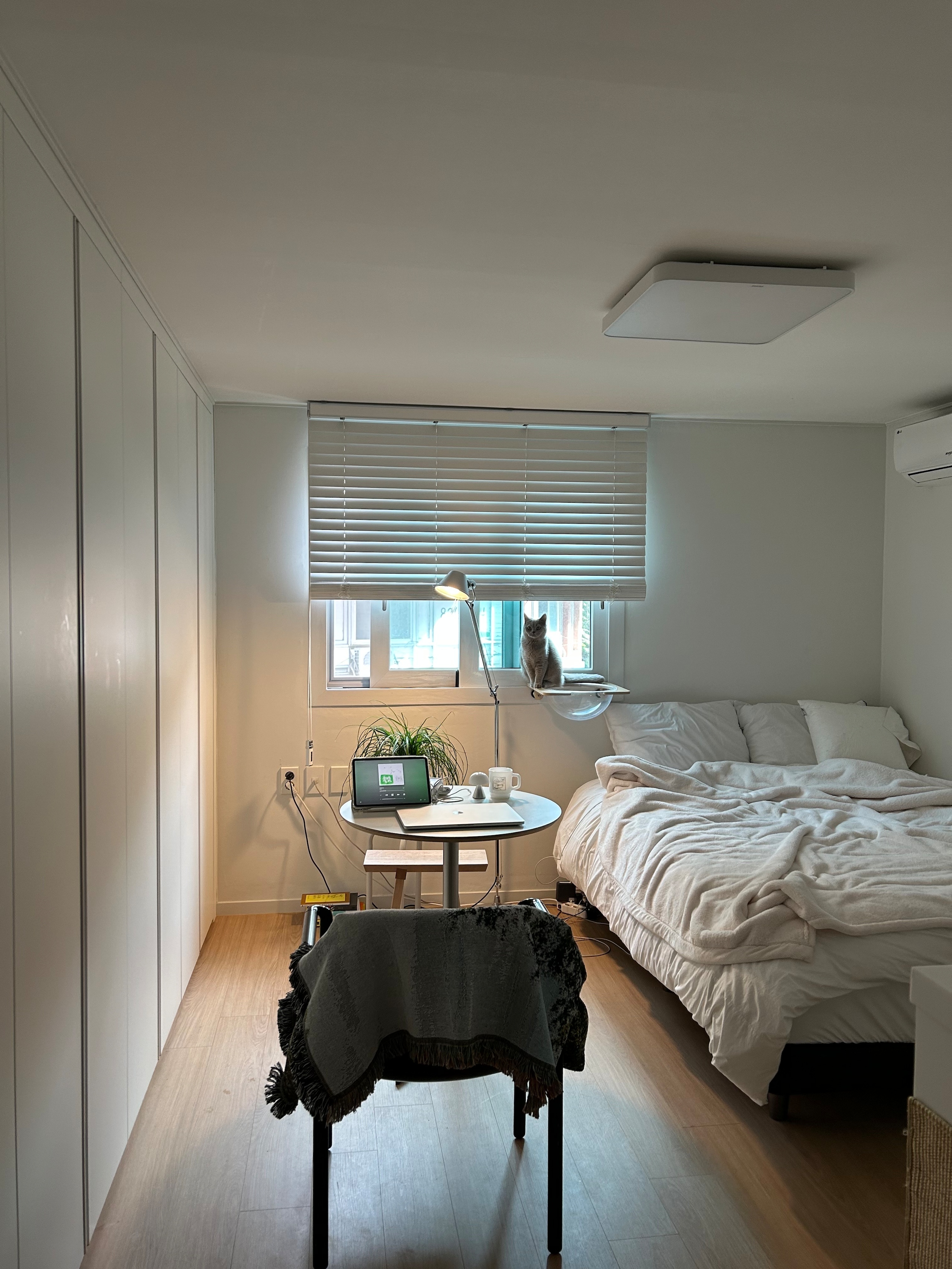 Cloud-Soft Bio-Washed Pillowcase user photo