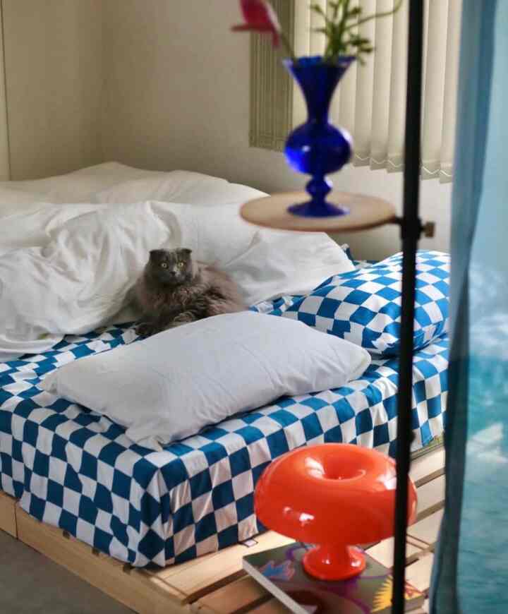 📌 【特集】猫とインテリア