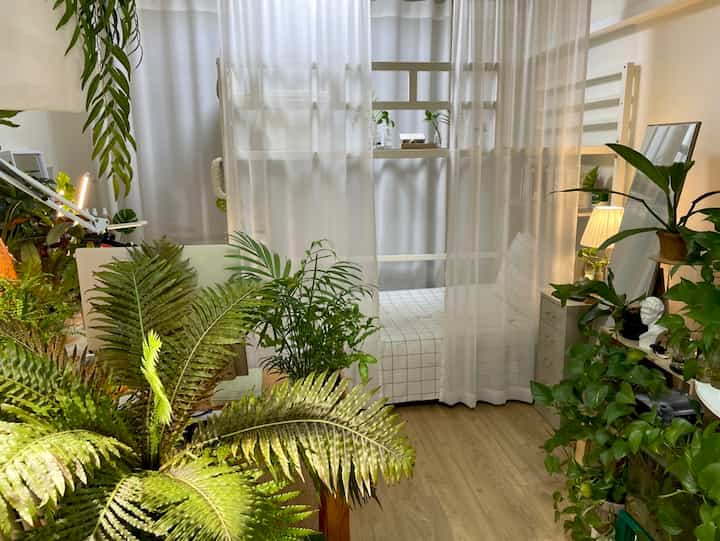 白を基調としたワンルームの寝室、豊富な植物とシフォンカーテンで空間を仕切り、明るく清潔感のあるインテリア