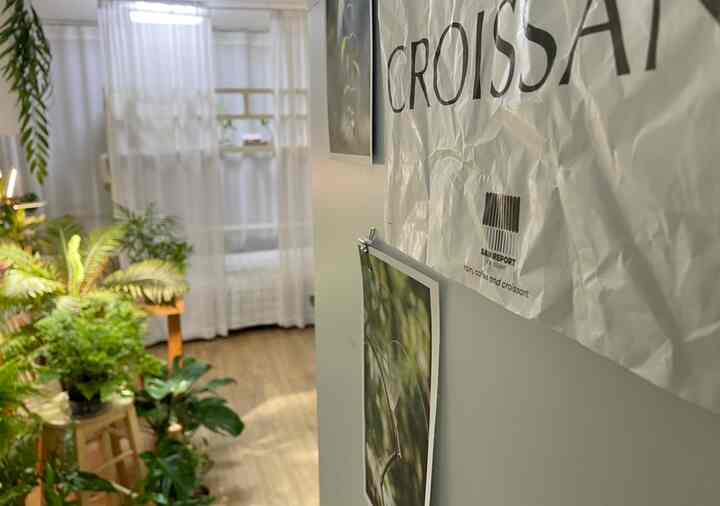 白と木目調が調和したキッチン空間、カーテンと豊かな植物が配置されて自然で落ち着いた雰囲気のあるインテリア