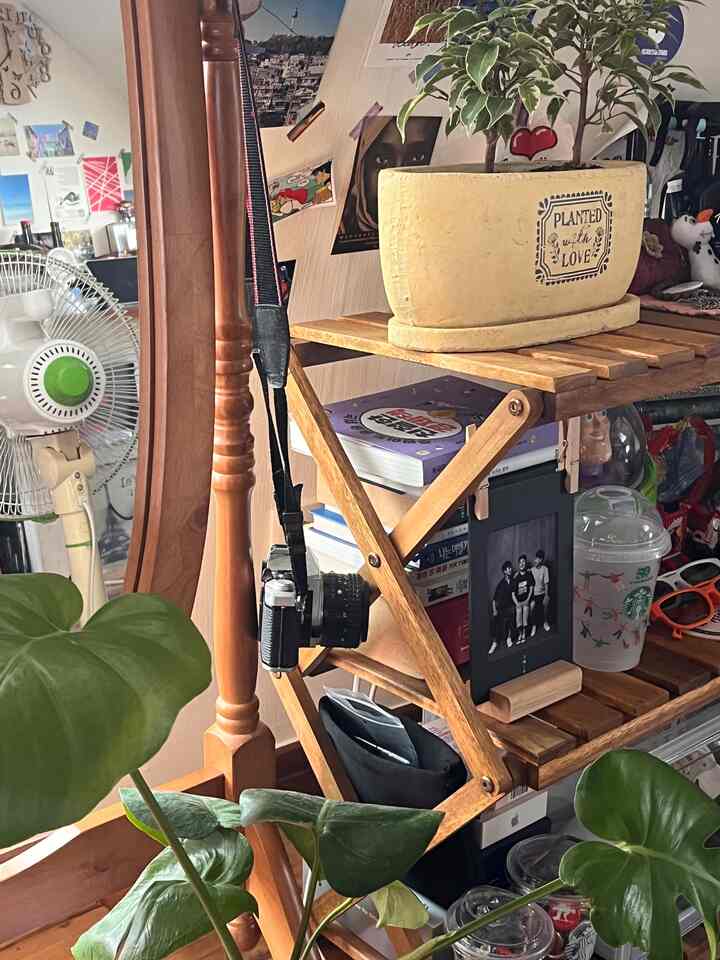 木目調と緑のベランダ空間、木製の棚と大型の全身鏡が配置された自然な雰囲気のインテリア