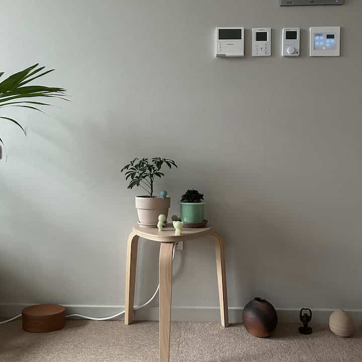 ナチュラルな木目調とベージュのカーペットのワンルームの壁面、スツールの上に植物とフィギュアが配置された雰囲気のある空間