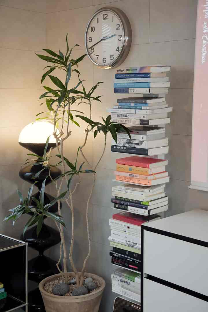 ナチュラルカラーのリビング、ジャマイカ植物と壁時計、本の山が配置された雰囲気のある空間