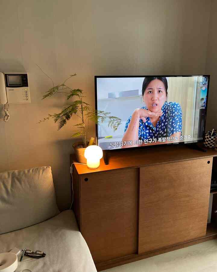 白いソファと茶色のテレビ台が配置されたシンプルでコンパクトなリビング、フロアランプと観葉植物を備える空間