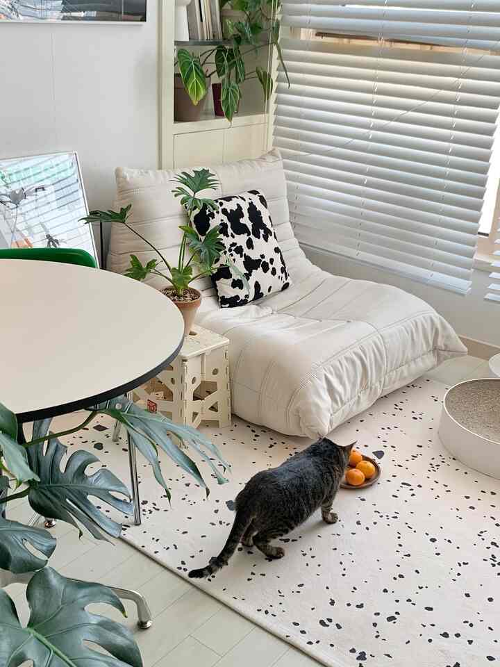 白を基調としたリビング、丸テーブルと一人掛けソファ、猫や観葉植物が配置された雰囲気のある空間