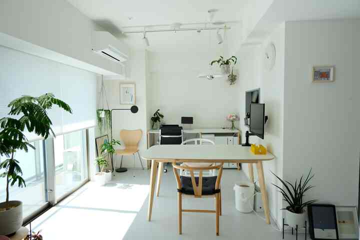 白とライトグレーのトーンが際立つ1LDKの空間、自然素材の家具と植物が配置された明るくナチュラルなインテリア