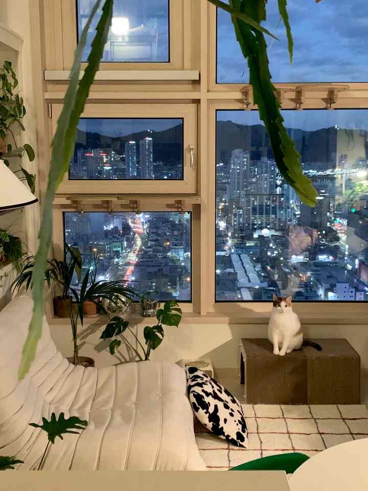 ナチュラルな木目調の窓と白いソファがあるリビング、シティビューと猫がいる雰囲気のある空間