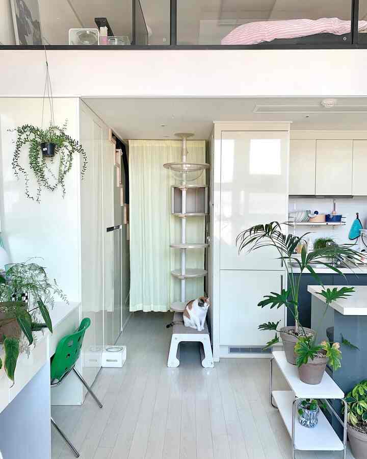 白を基調としたロフト付きのワンルーム、キャットタワーと猫が配置された温かみのある廊下とキッチンのインテリア