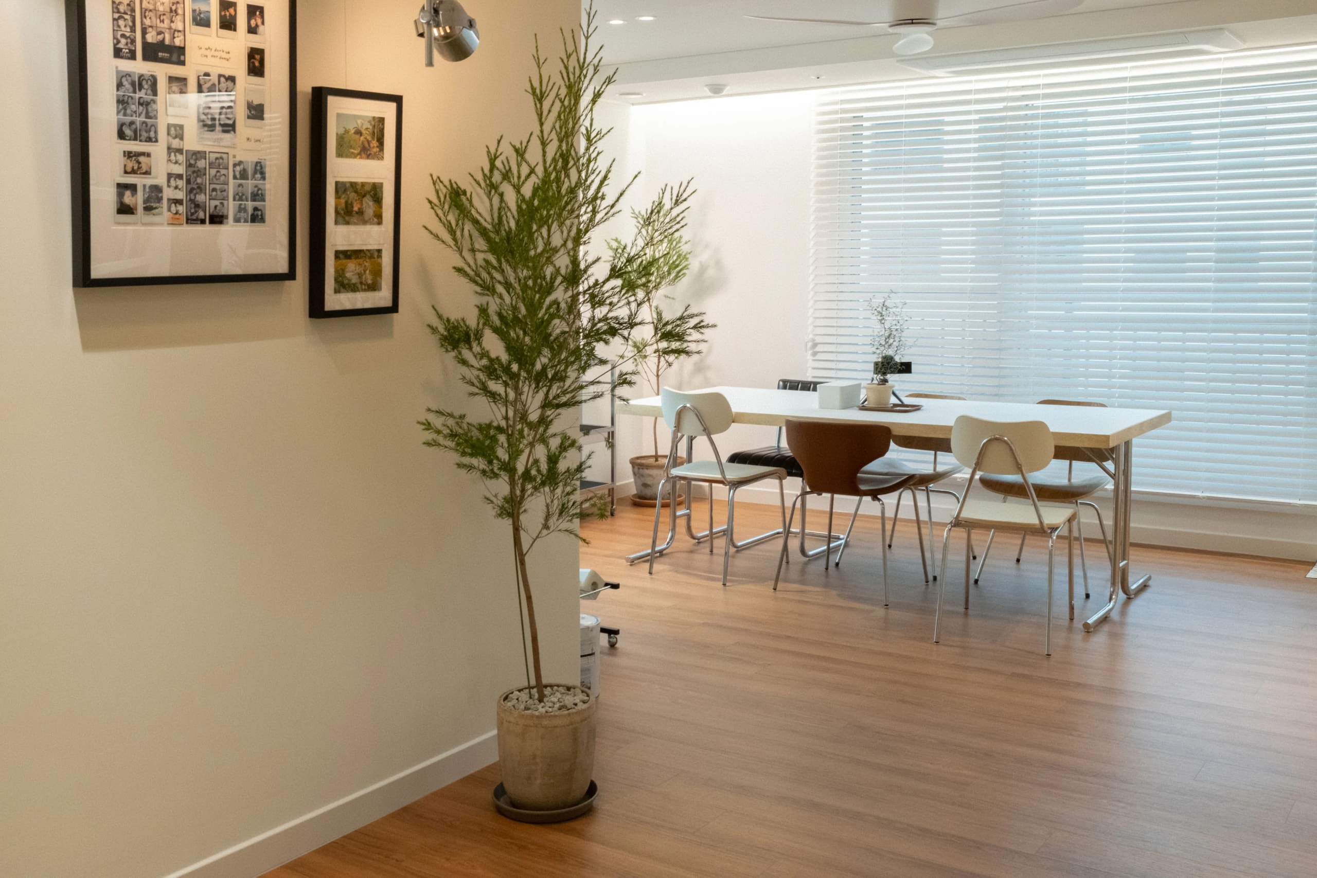Flow Line Dining Chair user photo