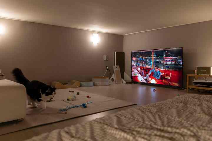 ナチュラルなトーンのベージュラグとペット用おもちゃが散らばり、65インチテレビが設置されたリビングの雰囲気のあるインテリア