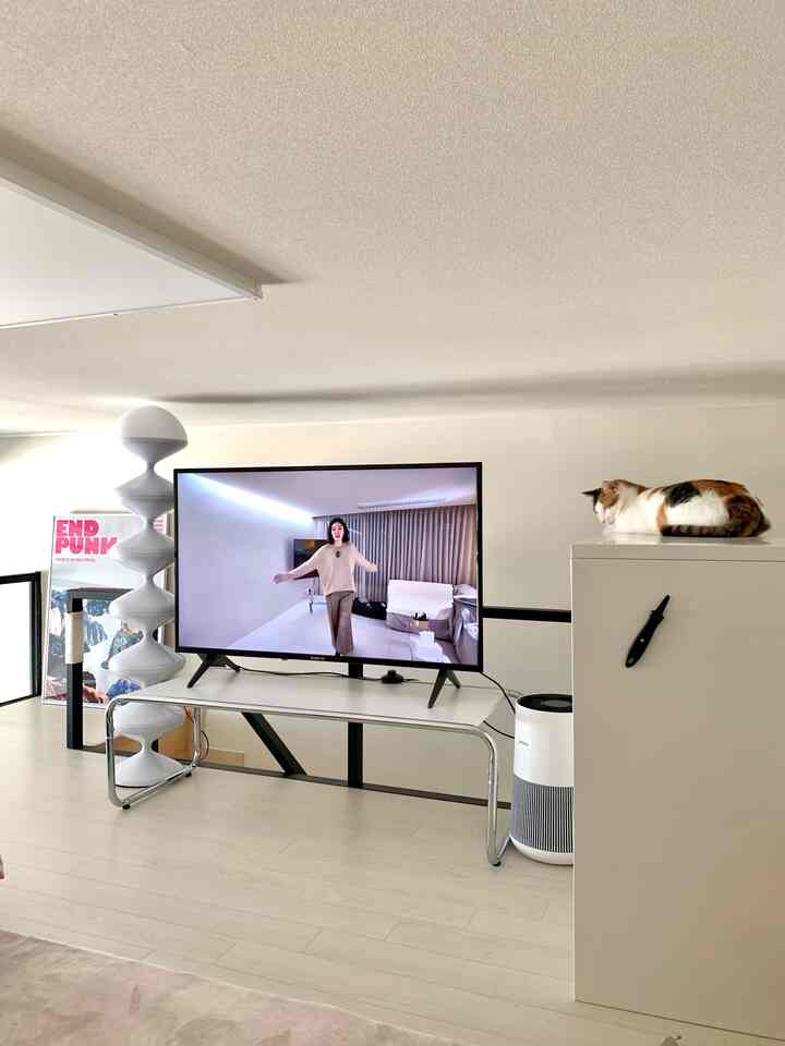 白を基調としたリビング、テレビ台の上に猫が座り、すっきりしたモダンなインテリア