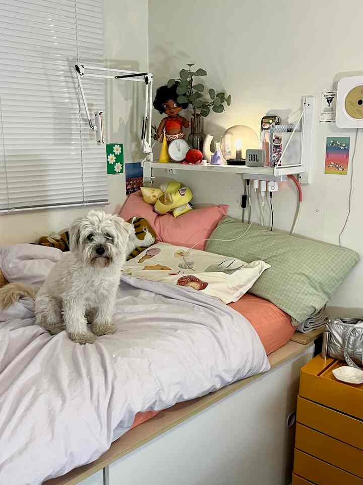 パステル調の寝室、中央のベッドに白い犬とカラフルな枕が配置された雰囲気のある空間