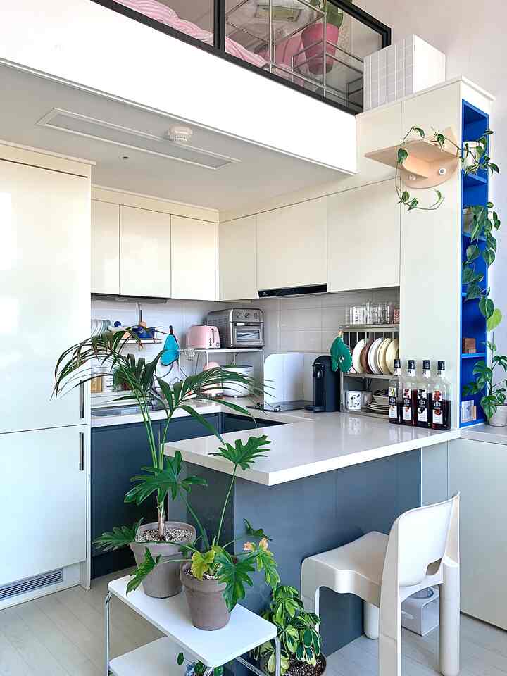 ナチュラルカラーとホワイト、ブルーの調和が取れたワンルームのキッチン、キッチンアイランドと多様な植物が配置されたコンパクトで実用的なインテリア