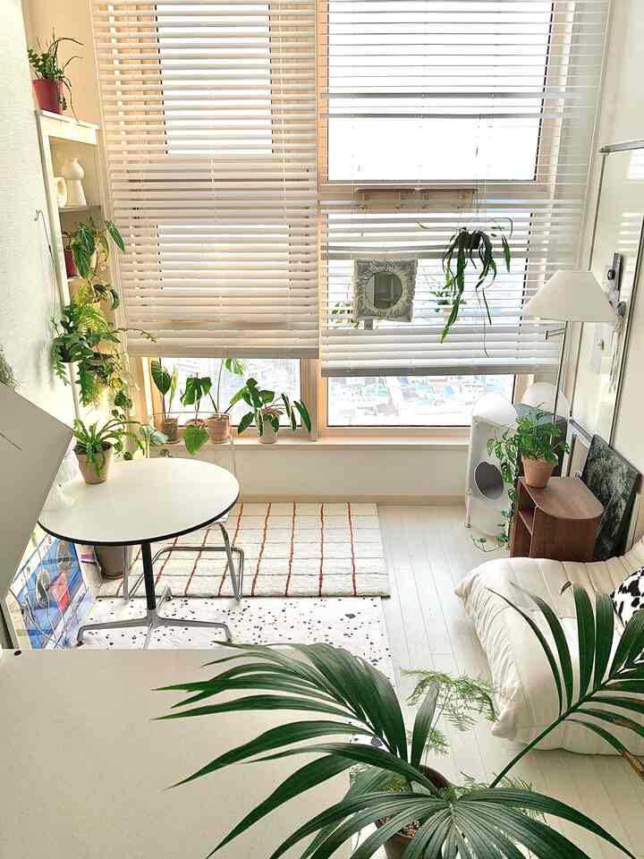 白とナチュラルカラーのリビング、白いソファと多くの植物が配置された落ち着いた雰囲気のインテリア