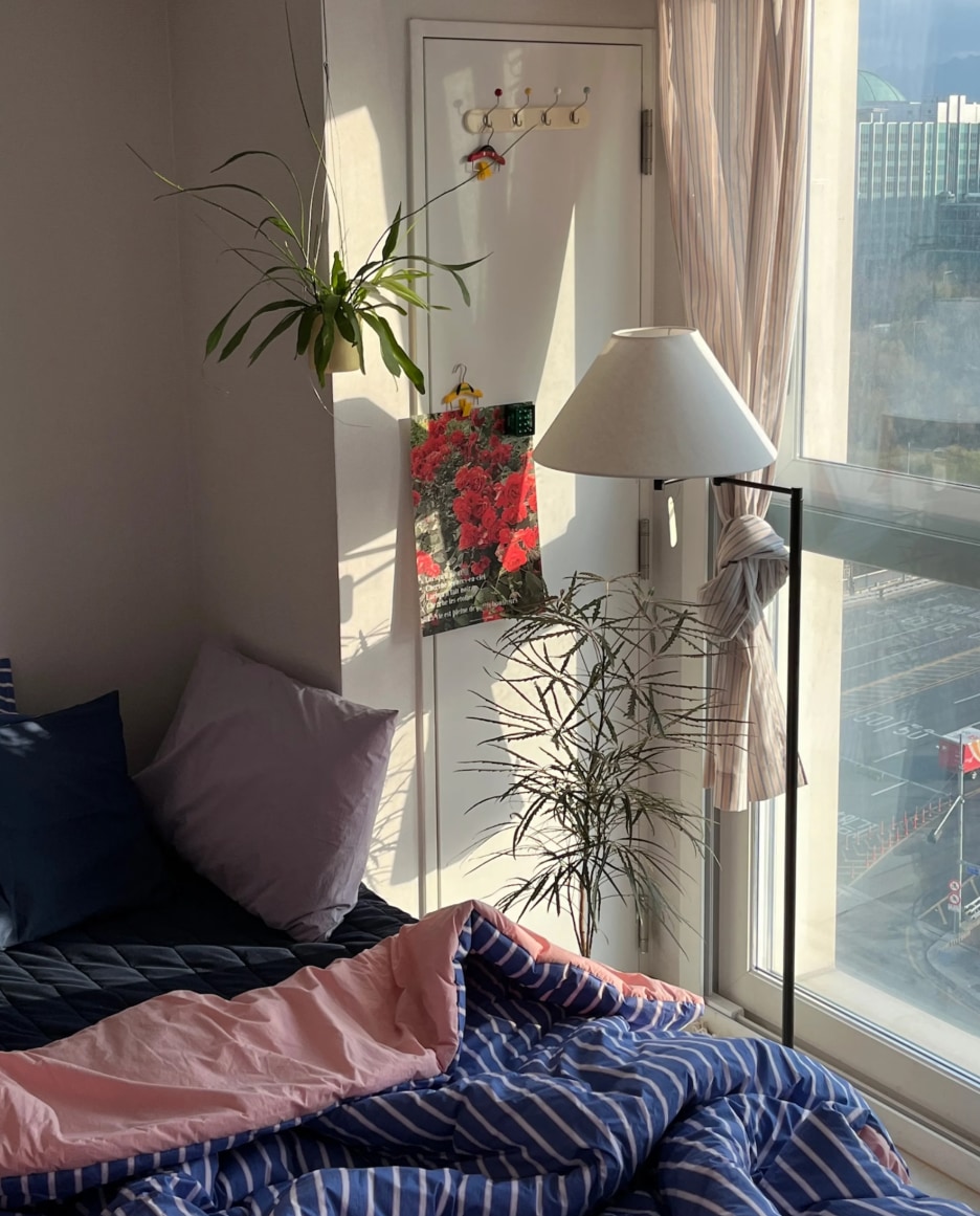 Soft Quilted Butter Mattress Cover user photo