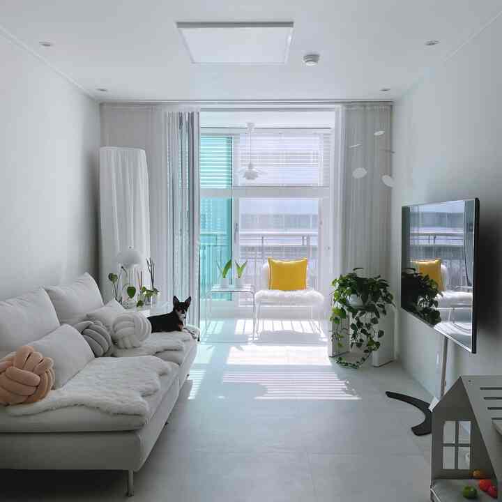 白を基調としたリビング、犬と快適なソファ、植物の自然要素が調和した雰囲気のあるインテリア