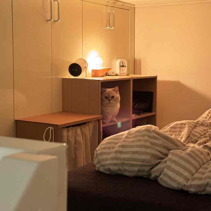温かみのあるベージュ色調の寝室、猫がボックス型の収納スペースに座る、落ち着いた雰囲気のある空間