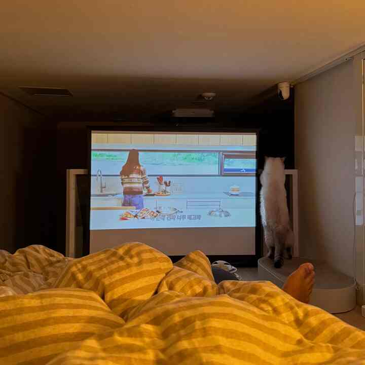 ベージュ調の寝室、プロジェクタースクリーンとキャットスクラッチャーが配置された雰囲気のあるホームシネマ空間