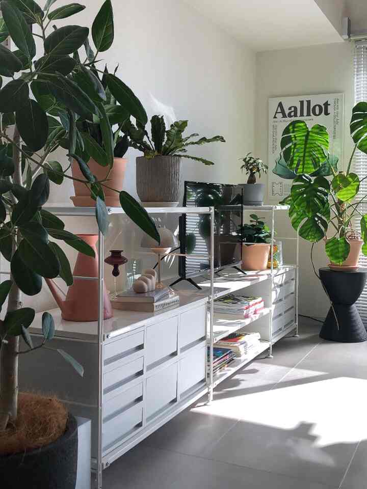 白とナチュラルカラーのリビング、ユニット棚とテレビ台が配され、植物が置かれた雰囲気のあるモダンな空間