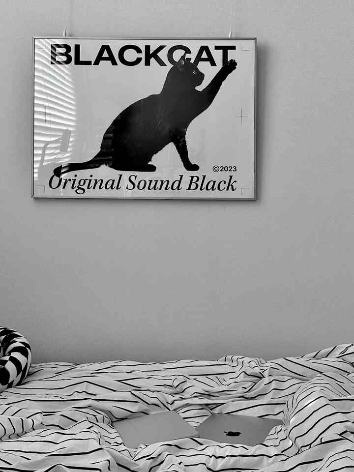 黒と白のトーンの寝室、ストライプ柄の寝具と黒猫のポスターが壁に掛けられた雰囲気のあるインテリア