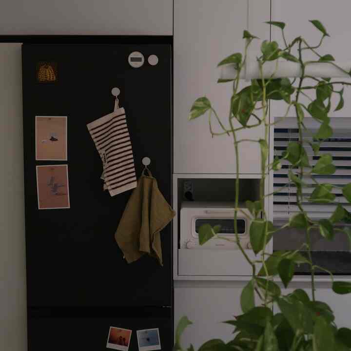 ブラックの冷蔵庫とホワイトのキッチンキャビネットが配置された、ナチュラルカラーの植物が飾られた暖かいキッチンの雰囲気のあるインテリア