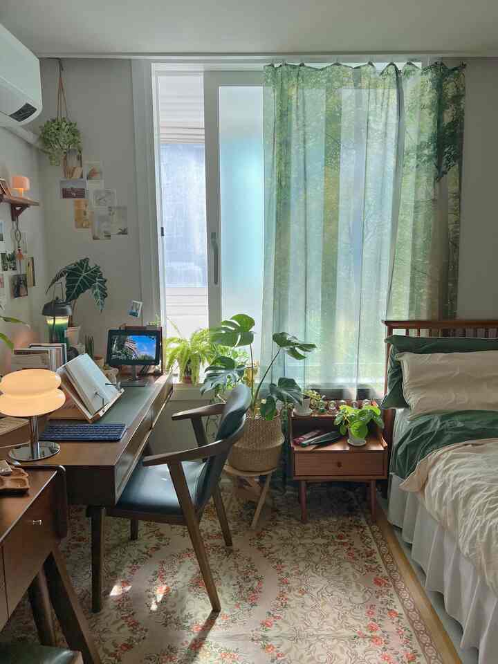 🇰🇷 リビング・寝室・書斎で観葉植物を上手に配置する実例🍀