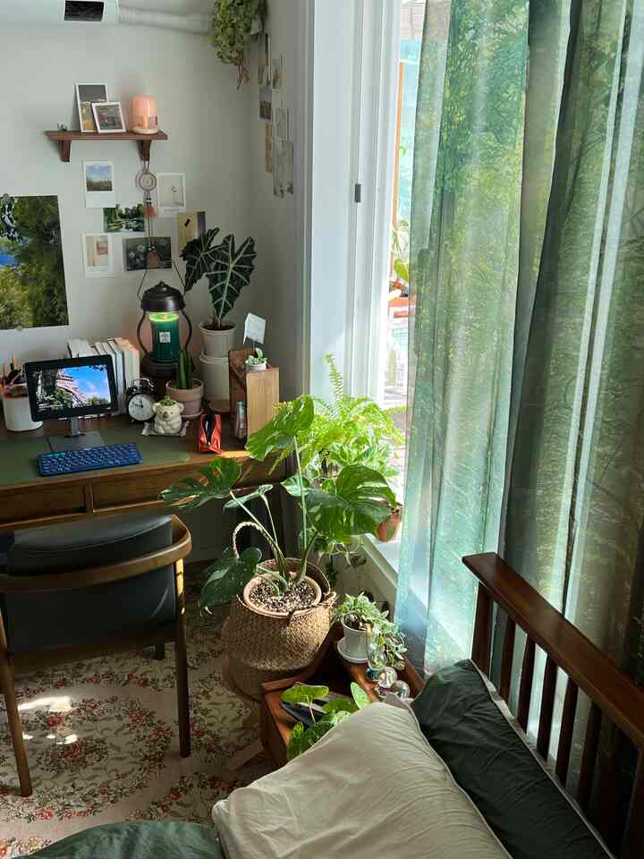 緑の植物と木目調家具が配置された、温かみのあるナチュラルな寝室とデスクの空間