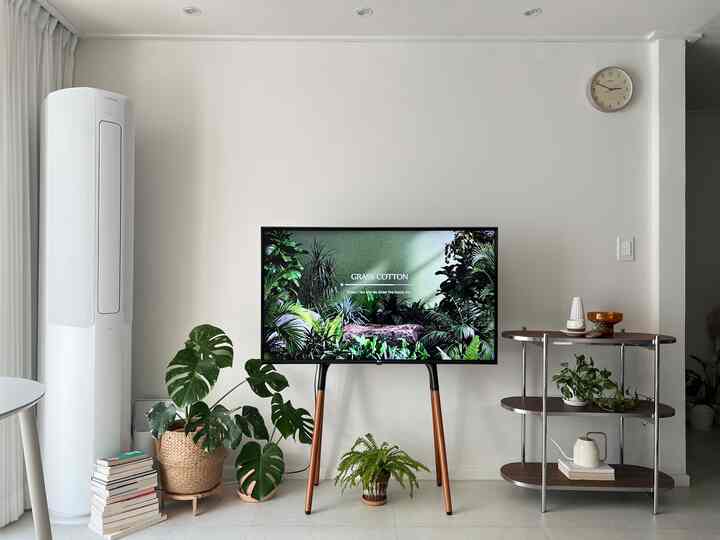 白と茶色のトーンのリビング、テレビイーゼルスタンドと複数の植物が配置された清潔感のあるナチュラルモダンなインテリア