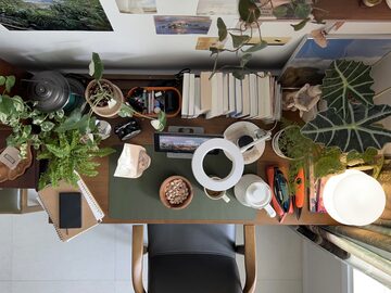 観葉植物 おしゃれ スタイリッシュ 屋内 リビング 寝室 書斎 玄関 空間
