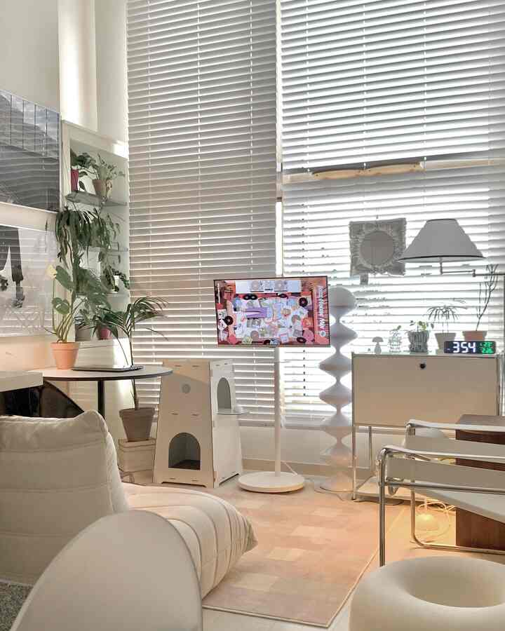 🇰🇷 猫に優しい部屋づくり：ロフト付きワンルーム