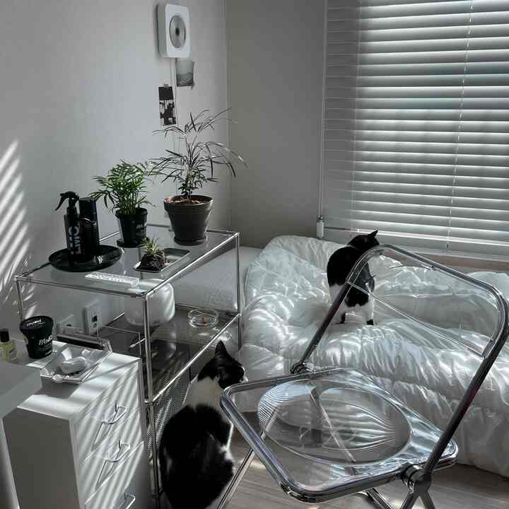 白とモノトーンの寝室、透明な椅子と植物のあるメタルシェルフ、そして2匹の黒猫がいる雰囲気のあるインテリア