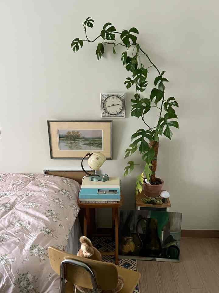 ヴィンテージ風の落ち着いた寝室、白い壁に這う大きな緑の植物と青いビンテージのLPプレーヤーが置かれた木製デスクのある空間