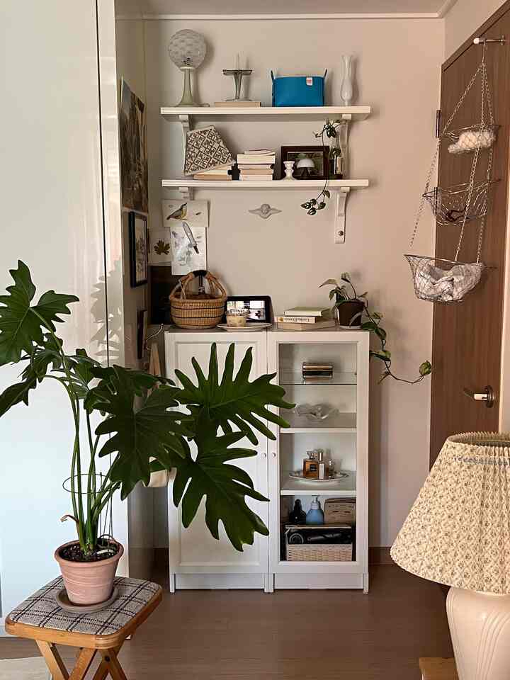 ホワイトのクローゼットと棚、木目調の床、大きな緑の植物が置かれたナチュラルで実用的なインテリア