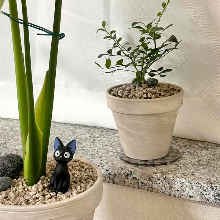 ベージュの鉢植えに緑の植物が右上に、左の鉢に黒い猫のフィギュアが置かれたキッチンのインテリア