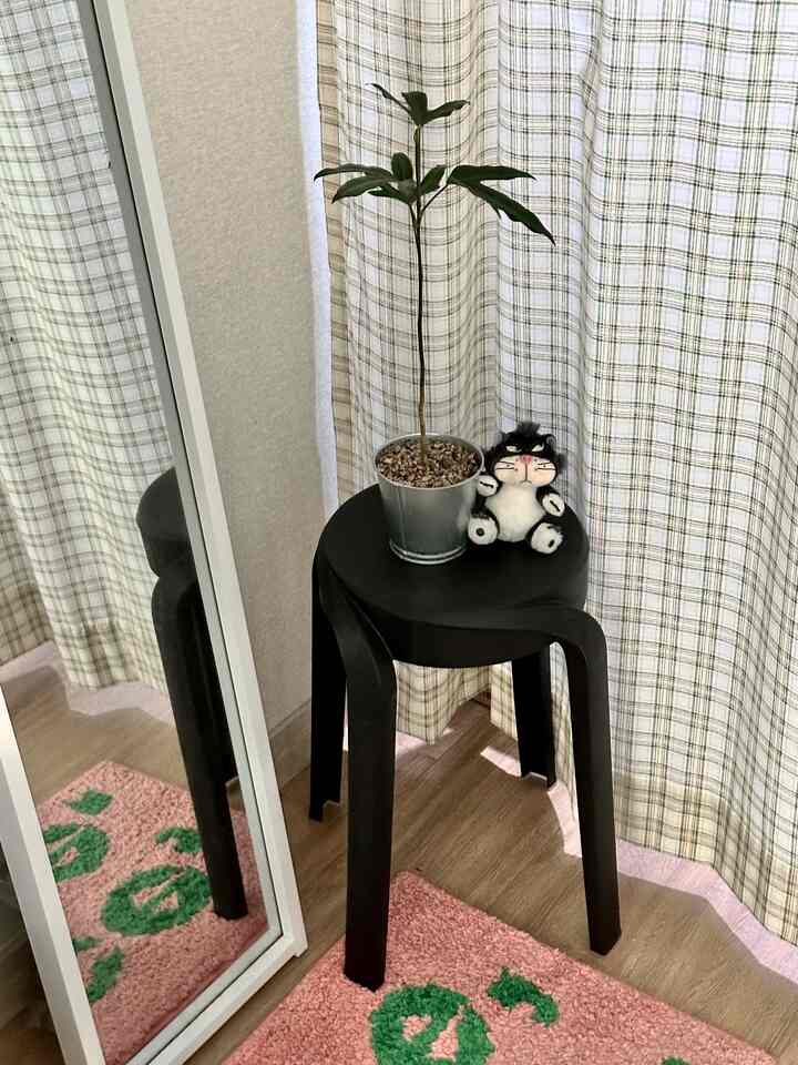 黒いスツールの上に植物と猫のぬいぐるみが置かれた、チェック柄のカーテンと木目調の床が調和する居心地の良い小さな部屋