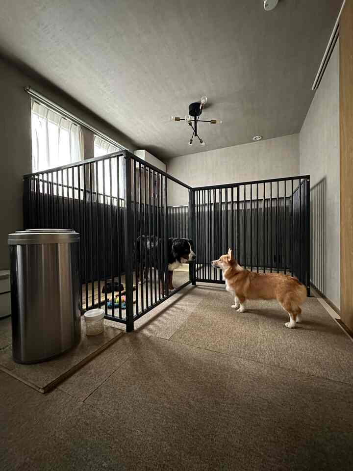 落ち着いた色調の9畳の部屋、中央に犬用ケージと2匹の犬がいる印象的な室内空間