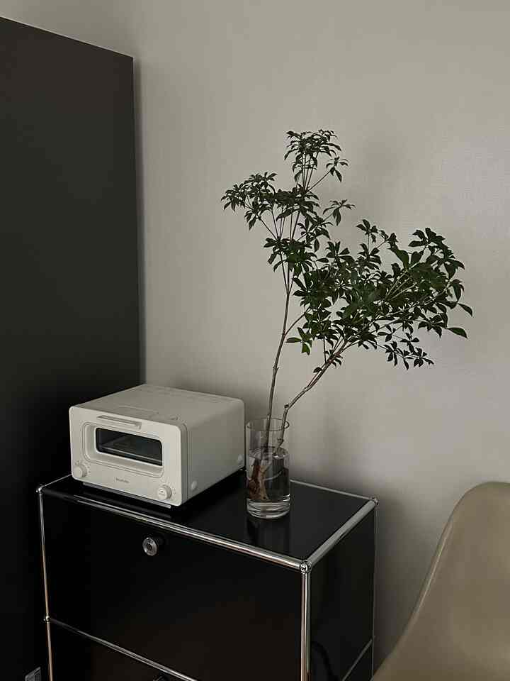 白い壁と黒いサイドボードにバルミューダのトースターと枝を入れたガラス花瓶が置かれたモダンなキッチンスペース