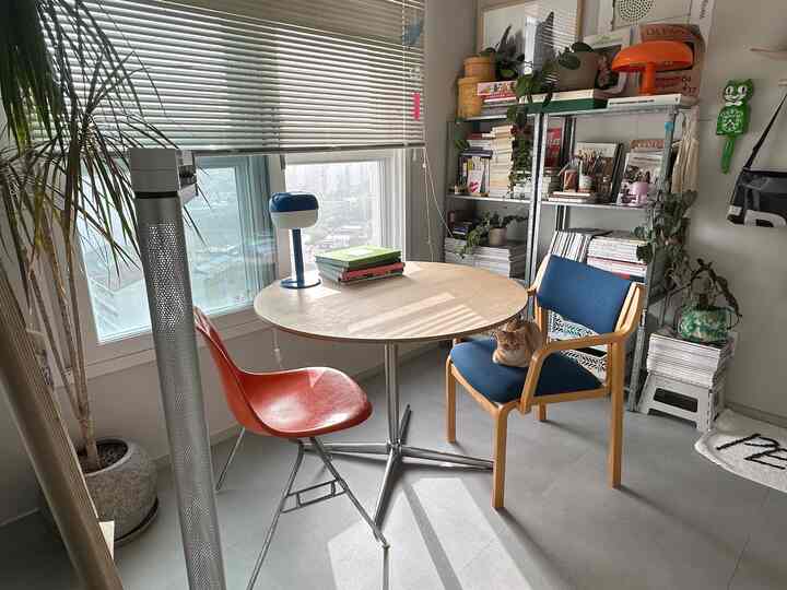 グレーの床と木目調のダイニングテーブル、青い椅子の上に猫がいるホームオフィス空間