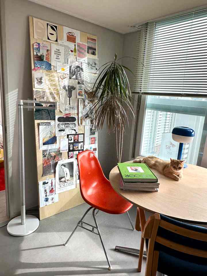 ナチュラルカラーと木目調のホームオフィス、オレンジとブルーの椅子、窓際の植物と猫がいる雰囲気のある空間