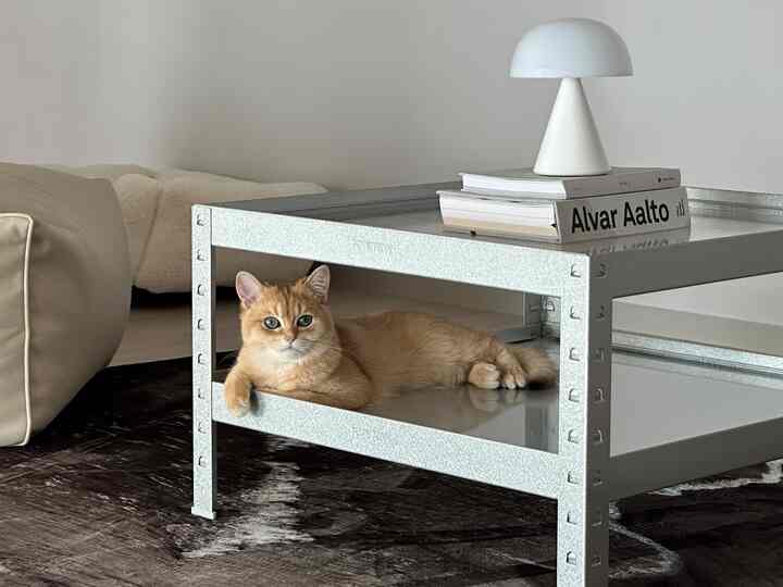 ベージュと金属調のロフトリビング、ソファとコーヒーテーブル上のランプと本、テーブル下でくつろぐ猫がいる雰囲気のあるインテリア