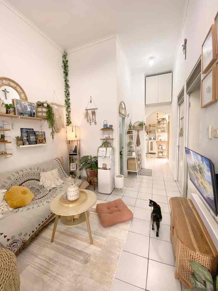 Rumah Pasangan Pecinta Kucing