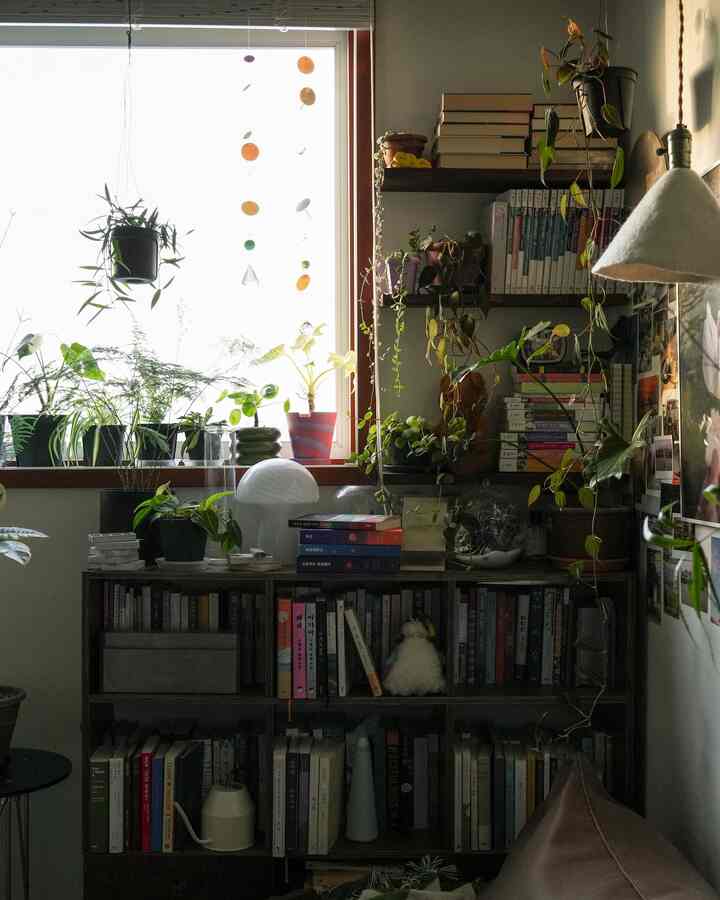 ナチュラルな色調のワンルーム書斎、木製の本棚と多様な植物が調和した雰囲気のあるインテリア